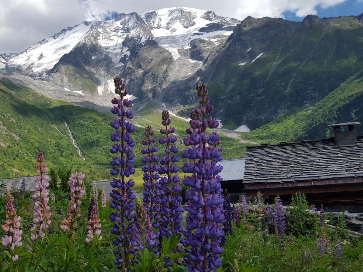 サン・ジェルヴェ・レ・バンDuo Des Alpages Vue Exceptionnelle Sur Le Mont Blcアパートメント エクステリア 写真