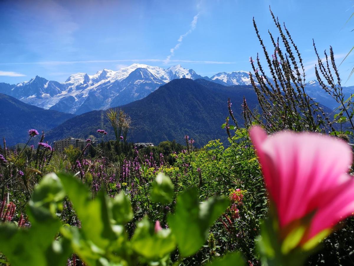 サン・ジェルヴェ・レ・バンDuo Des Alpages Vue Exceptionnelle Sur Le Mont Blcアパートメント エクステリア 写真