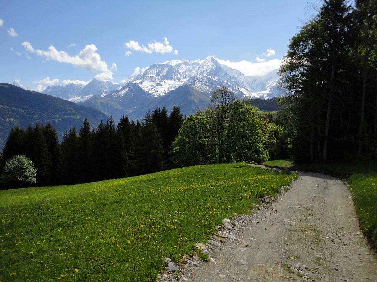サン・ジェルヴェ・レ・バンDuo Des Alpages Vue Exceptionnelle Sur Le Mont Blcアパートメント エクステリア 写真