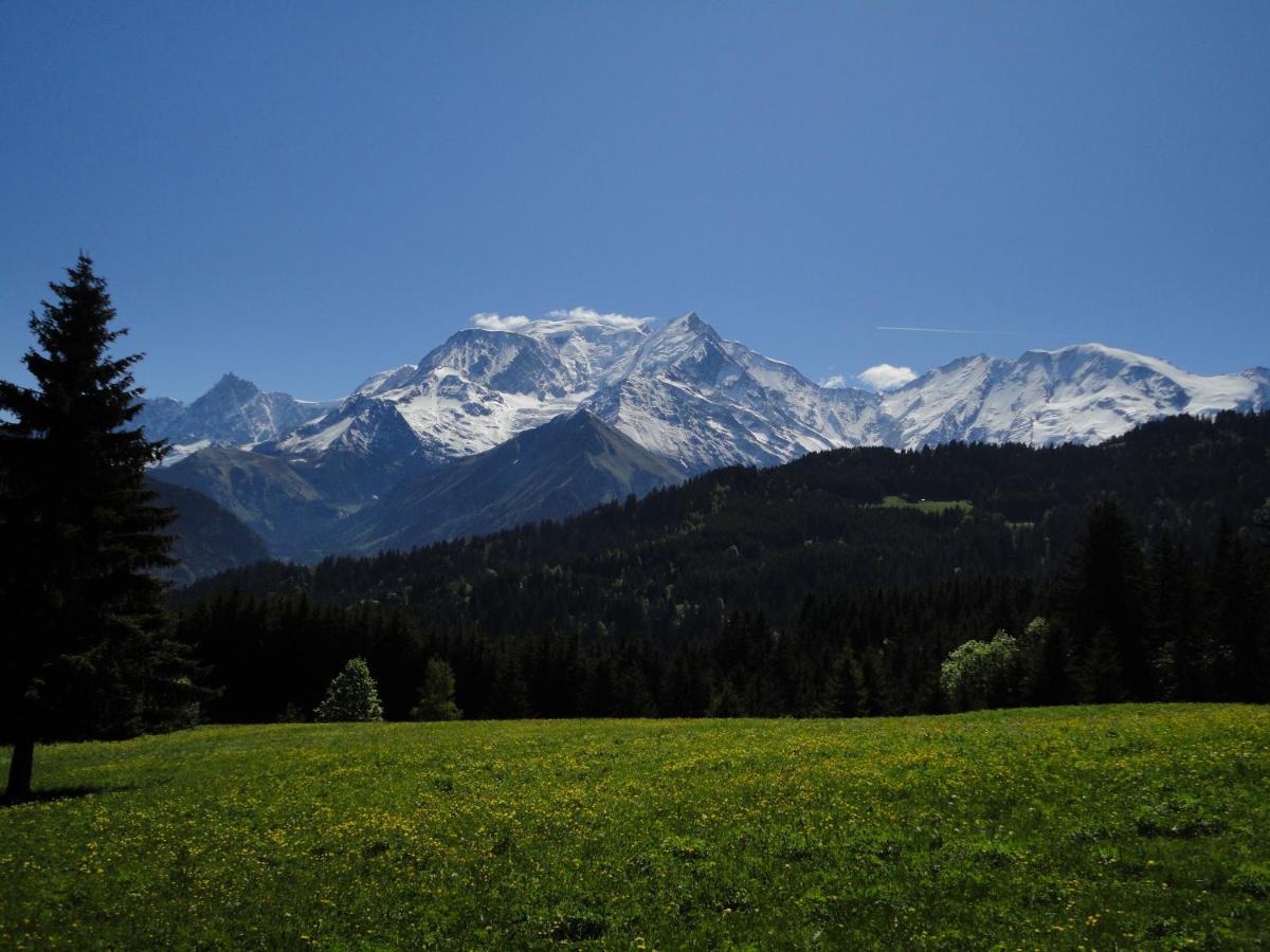 サン・ジェルヴェ・レ・バンDuo Des Alpages Vue Exceptionnelle Sur Le Mont Blcアパートメント エクステリア 写真